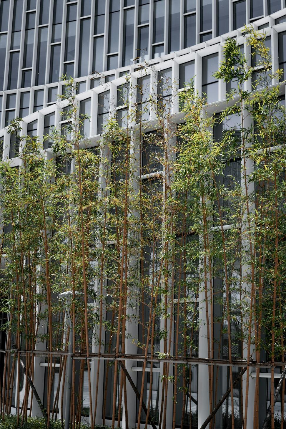 Commercial Building Project